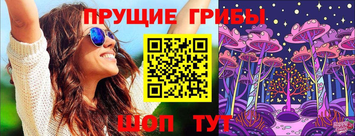 Вольск  Галлюциногенные грибы Psilocybine cubensis  Галлюциногенные грибы Cubensis  Вход с VPN 